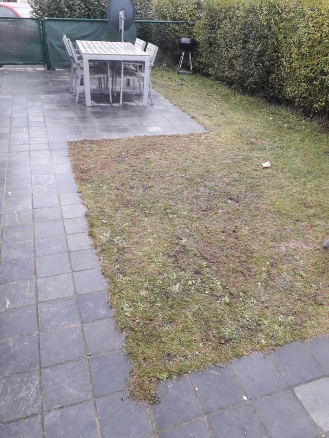 Seacottage Bredene Exteriör bild